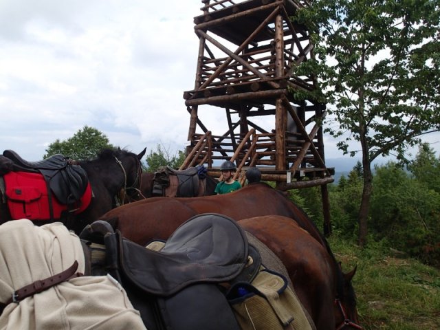 Bieszczady